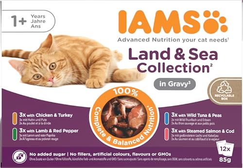 IAMS Sea Collection Bustine Cibo Umido Gatti