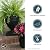 The HC Companies 18 Inch Tall Olympia Plastic Urn - Lightweight Outdoor Plastic Plant Pot for Flowers, Black