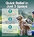 Pup Labs K9 Soothe Anti Itch Spray for Dogs with Aloe, Rose, & Coconut, Natural Hot Spot Treatment for Dogs That Soothes Irritation, Pet Skin Treatment Spray, 4 FL OZ