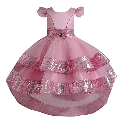 Girls Embroidery Princess Dress Kids Sleveless Wedding Birthday Party Long Tail Prom Gowns