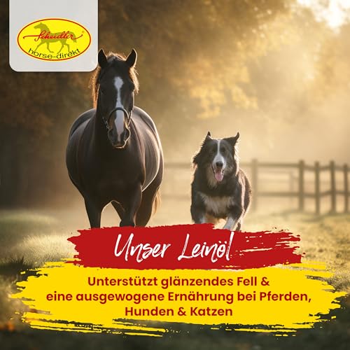 Scheidler horse-direkt Leinöl für Pferde, Hunde & Katzen 5 Liter – Mühlenfrisch kaltgepresstes Leinsamenöl ohne Zusätze – Reich an Omega 3 & 6 für Fellwechsel/Barf Öl – Aus Deutschland