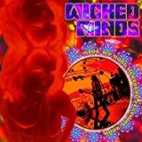 Herzberg Verlags-Gmbh (in-Akustik)