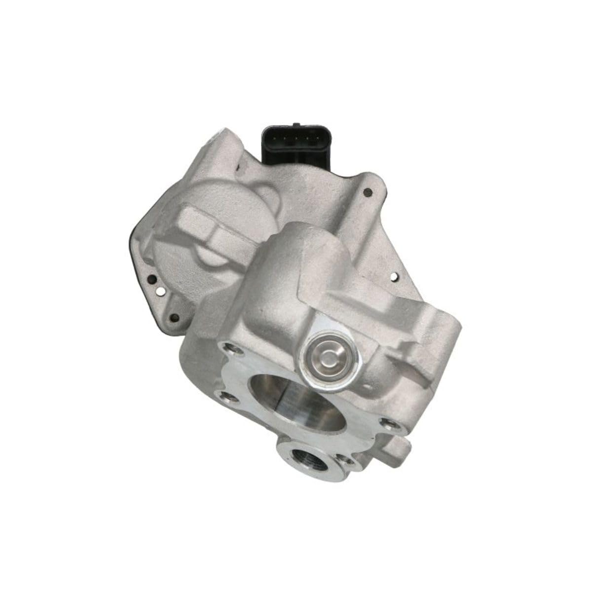 Delphi Technologies EG10538-12B1 Vanne EGR