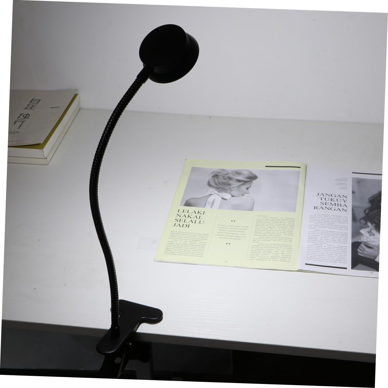 Lampada da Studio Clip LED, Collo di Cigno Flessibile, Regolazione Luminosità 2 Livelli, Alimentazione USB, per Uso a Letto