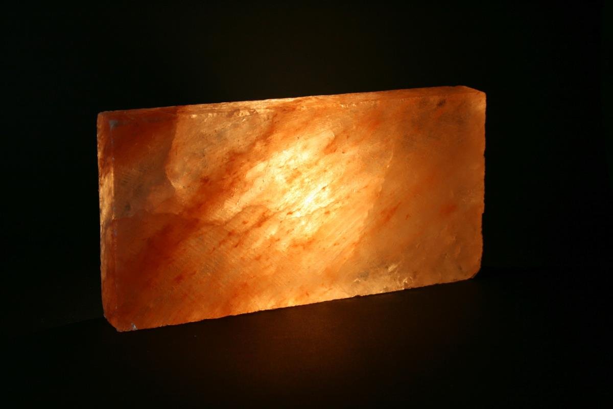 20 Stück Salzziegelsteinne 20x10x2,5cm Premiumqualität