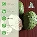 200g Soursop Fruit Chunks - Pure Naturally Dried for Snacks Smoothies and Culinary Use Healthy Dried Fruit