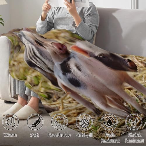 Couverture cochon nain chaude et légère en microfibre douce - 7