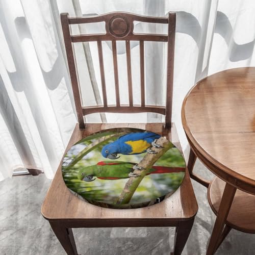 Almohadilla circular suave para silla de hogar con diseño de loro y funda lavable de 39cm 8
