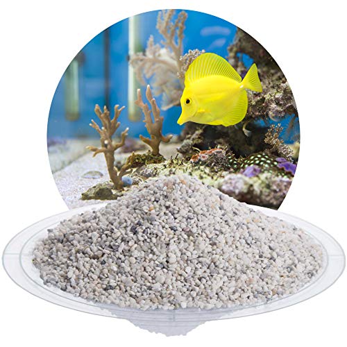 Schicker Mineral Aquariumkies weiß 25 kg, grober Aquariumsand gewaschen, ungefärbt, kantengerundeter Bodengrund, Kies für Süßwasseraquarien, Meerwasseraquarien, Aquascaping (Ø Körnung: 2,0-3,5 mm)