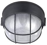 Canarm IOL17BK The Outdoor 1-Bulb Flush Mount Exterior Light with Frosted Glass Globe, Black