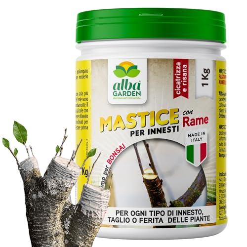 Albagarden - Mastice Per Innesti E Potature ++ Con Rame ++ Antibatterico Pasta Cicatrizzante Curativa Per Ferite Piante Alberi Arbusti Kit Bonsai X 1 Kg