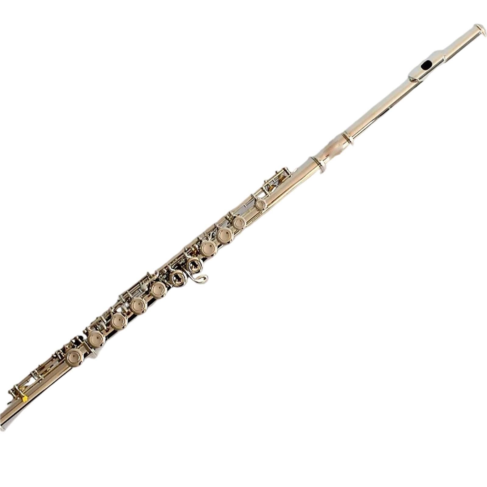 Flute Instruments Flauta Profesional