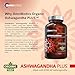 OmniBiotics Organic Ashwagandha Supplement – 1300mg Total Strength – 900mg Organic Root Powder & 400mg KSM-66 Extract – Stress Relief, Mood & Sleep Support – Non-GMO – 120 Vegan Capsules