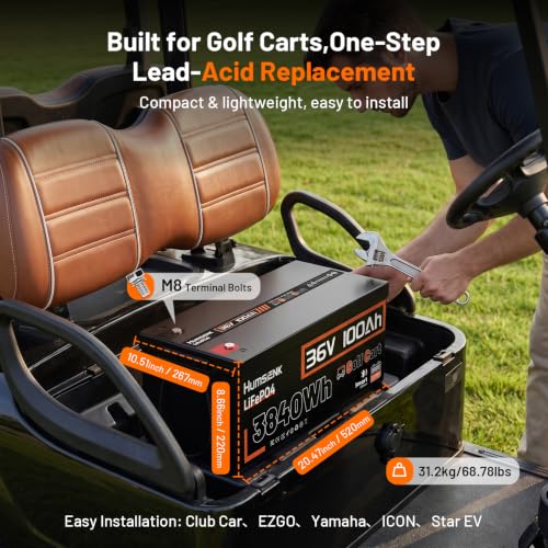 Image of 36V 100Ah Golf Cart Lithium Battery, 200A BMS (600A Peak), Bluetooth & Dashboard Meter, 3.84kWh Deep Cycle LiFePO4, 68.7lbs Drop-in Replacement for 6x 6V Batteries, EZGO TXT, Club Car DS