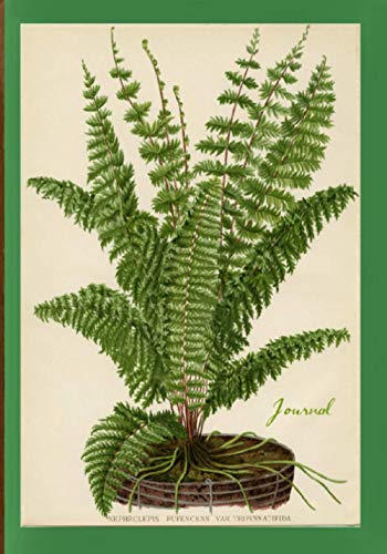 Journal: Vintage Fern Botanical Print Cover, Lined Notebook, 7"x10"/B5 size, Green