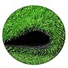 YXZQ Kunstgras Outdoor Groen Hoge Dichtheid Nep Grass Natuurlijk & Realistisch Kijken Tuin Netjes Tapijt Mat,40mm Stapel…
