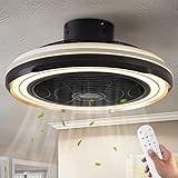 Dalouguan Flush Mount Ceiling Fan with Lights, 19