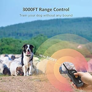 PATPET Dog Training Collar for Large Dogs - IPX7 Waterproof E Collar for Dogs Training with Beep, Vibration and Static Modes PATPET Dog Training Collar for Large Dogs IPX7 Waterproof E Collar for Dogs Training with Beep Vibration and Static Modes