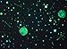 StarmakerFX Glow in The Dark Cosmic Star Ceiling Painting Mural Room Decor Kit DVD Training Manual and Tools