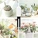 WANFEI Plant Monitor Soil Test Kit,Flower Care Soil Tester Smart Plant Tracker Intelligent Sensor Plants Detector Bluetooth Monitor for Light Moisture Fertility Temperature Level for iOS and Android
