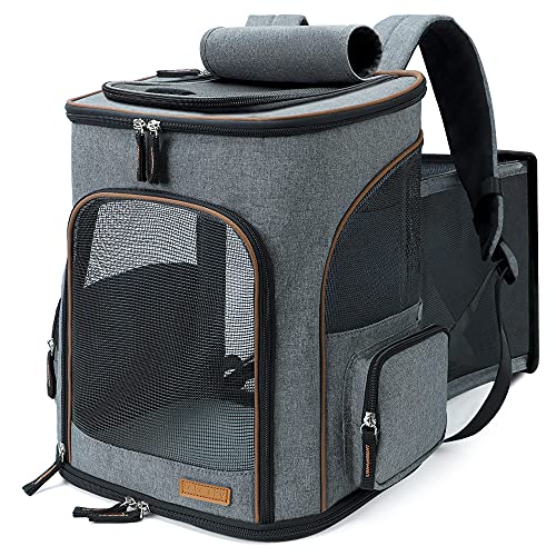 Walmart Cat Carrier Best Cost