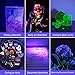 LE Black Light Flashlight, Small UV Lights with 21 LEDs, 395nm, Ultraviolet Light Detector for Invisible Ink Pens, Pet Dog Cat Urine Stain and More, AAA Batteries Included