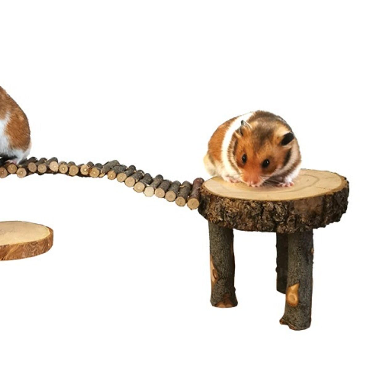 Juguete de plataforma de madera para hámster, escalera de madera segura para actividades de parque infantil para mascotas, conejillo de indias, puente de escalada, escondite de hámster
