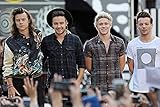 Harry Styles Liam Payne Niall Horan Louis Tomlinson One Direction 12 x 16 inch poster LADLI JU...