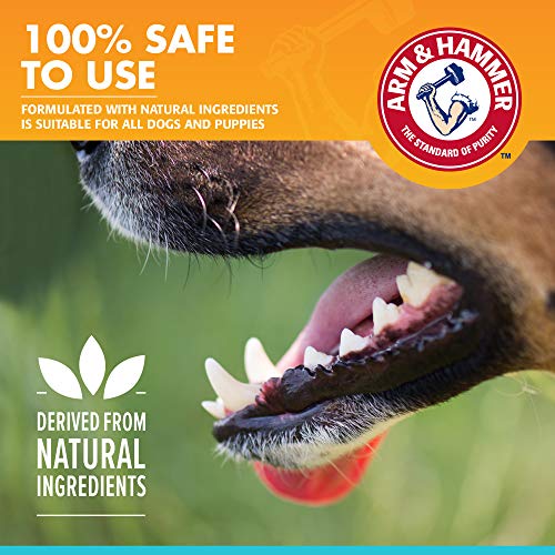 Image of Arm & Hammer for Pets Fresh Breath Enzymatic Dog Toothpaste, Vanilla Ginger Flavor, Safe for Puppies and Adult Dogs, Daily Baking Soda Dental Gel to Eliminate Bad Breath, 2.5 Oz - 72 Pack