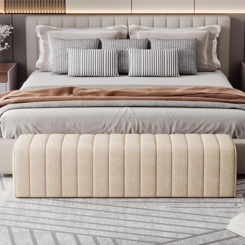 O[x` փx` [{| \t@ l|u ֈ֎qXc[ wȂ NbVt ӂt Xg[W`FA  rO Q ߗ ᔠ ItzCg 70×40x42cm