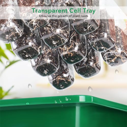 Image of HASTHIP 5Pcs Germination Tray Seed Germination Tray Plastic Seedling Plant Grow Tray Kit with Lid, Seed Starter Microgreen Growing Trays with 12 Cell Seedling Tray Tools