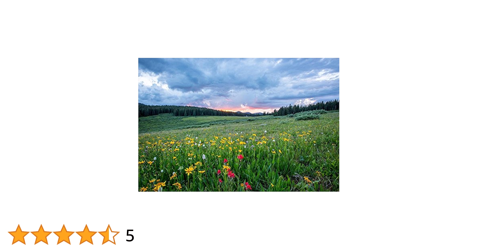 Amazon.com: Gifts Delight Laminated 36x24 inches Poster