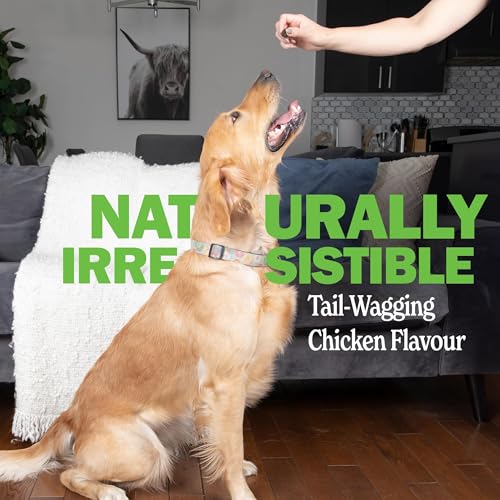 Deley Naturals Probiotics for Dogs - Dog Probiotics Chewable with 6 Digestive Enzymes & 4 Billion CFUs - Probiotic Chews for Dogs Gut Health Diarrhea & Digestion - Digestive Balance Dog Supplements - Image 5