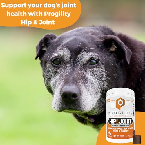 Image of Progility Hip & Joint Supplement for Dogs - Daily Mobility & Joint Support with Glucosamine, Chondroitin & MSM, Soft Chews (90 Count)