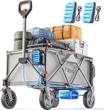 Litheli Chariot électrique Pliable avec pneus Tout-Terrain de 20 cm, capacité de 200L, Charge maximale de 60 kg, 2 Freins, Convient pour Le Camping, Le Jardin, la Plage, Les Courses Gris (2 Piles)
