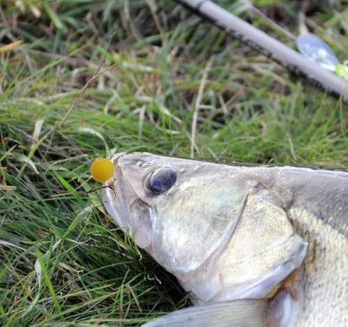 Set de 15 piezas para pesca de carpa con señuelo flotante miniatura 6