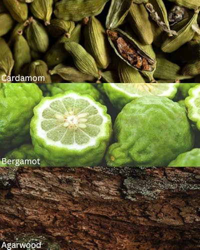 Image of TOXICMALE Most Wanted + Bad Boy | Perfect Long lasting Men's perfume for party | perfumes for men | Gift for him | TMA37 | 50 ml perfume | TM Perfume House