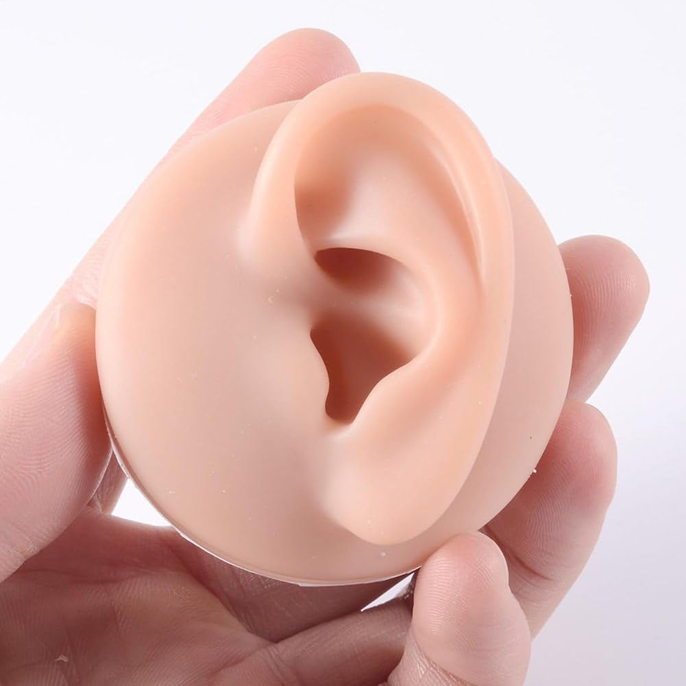 Silikonowy model korpusu do uszu, nosa, ust, 3 szt. elastyczny wyświetlacz do ćwiczeń i treningu pięciu zmysłów - realistyczne anatomiczne modele silikonowe