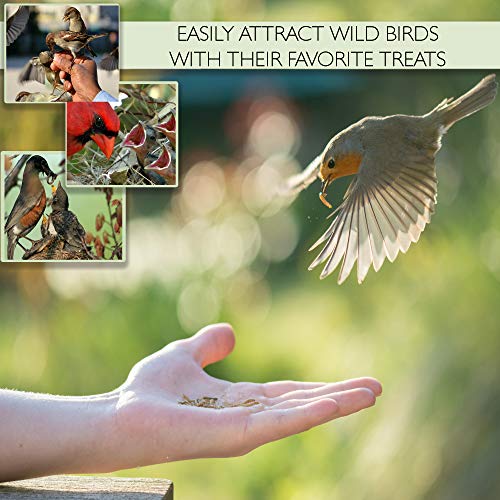 PICKY NEB 100% Non-GMO Dried Mealworms 5 lb - Whole Large Meal Worms Bulk - High-Protein Treats Perfect for Your Chickens, Ducks, Wild Birds