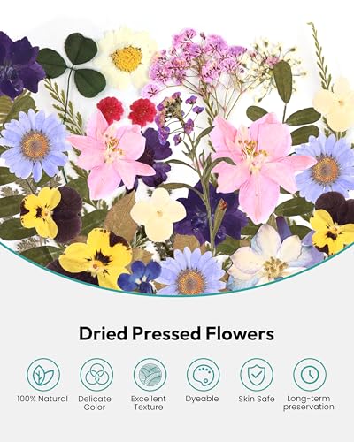 Dried Flowers, Resiners 100Pcs Pressed Flowers for Resin Soap Candle Scrapbook Supplies Card - Image 4