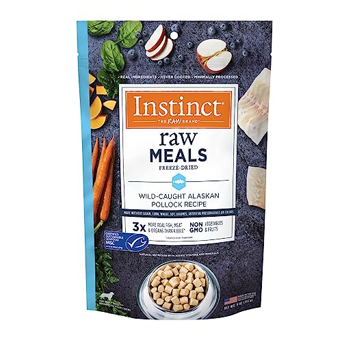 Revitalize Your Pooch with these 10 Ironrich Dog Food Recipes for