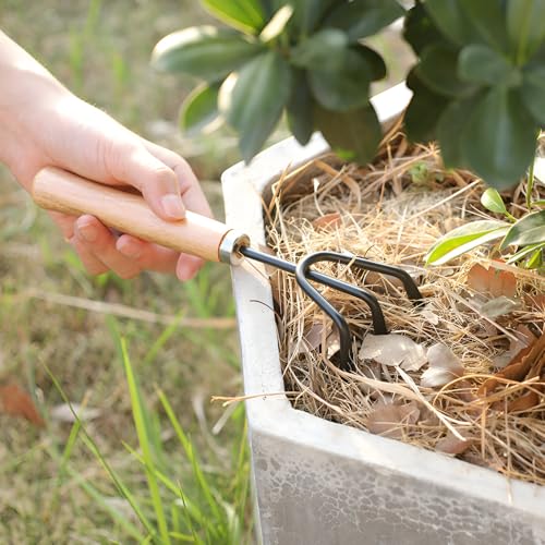 Image of Go Garden 3 Pcs Gardening Hand Tool Kit for Home Gardening | Hand Cultivator, Trowel, Transplanter | Perfectly Sized for Home Garden | Ideal for Flower Pots and Lawns