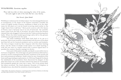 Botanical Curses and Poisons: The Shadow-Lives of Plants - Image 7