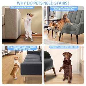   Foldable-Dog-Stairs-3-Step-Dog-Steps-with-Storage-Portable-Pet-Stairs-for-Small-Medium-or-Large-Dogs-and-Cat-Can-Hold-up-to-120-LBS-16H-Beige