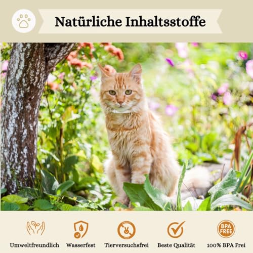 Animalea® Zeckenhalsband für Katzen (2 Stück) - Länge 38cm - wirksamer Schutz gegen Zecken und Flöhe - wasserfest und Leuchtend bis zu 8 Monaten Zeckenschutz mit 100% natürlichen Inhaltsstoffen
