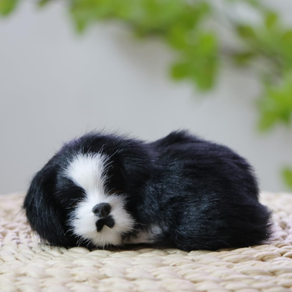 Amazon.co.jp: 本物でかわいい小さなスリーピングボーダーコリー犬の 