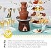 Wilton Chocolate Pro Melting Wafers for Dessert Fountain and Fondue with Lollipop Sticks, 3-Piece Set