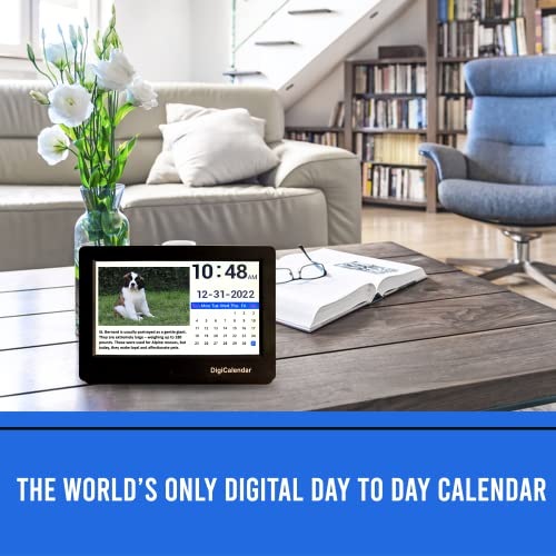 Digital Day To Day Dog Calendar - A Different Breed Changes Automatically Every Day - Ideal Gift For Dog Lovers! #TOP1
