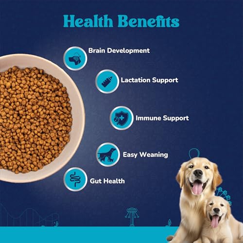 Image of Carniwel Superfoods Starter Dry Dog Food 10 kg | 100% Vegetarian | Fresh & Natural Ingredients | Highly Palatable | GMO Free | Premium Nutrition for Large Dogs