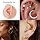 Piercing Kit Silicone Model Body Part Displays Set, 8pcs Soft Body Piercing Practice Model Kit with Display Holder,Soft Fake Tongue Mouth Nose Eye Navel Ear 5D Model Training Tool Kit for Piericng - 3